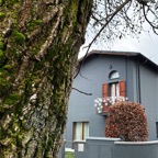 architettura11a.jpg